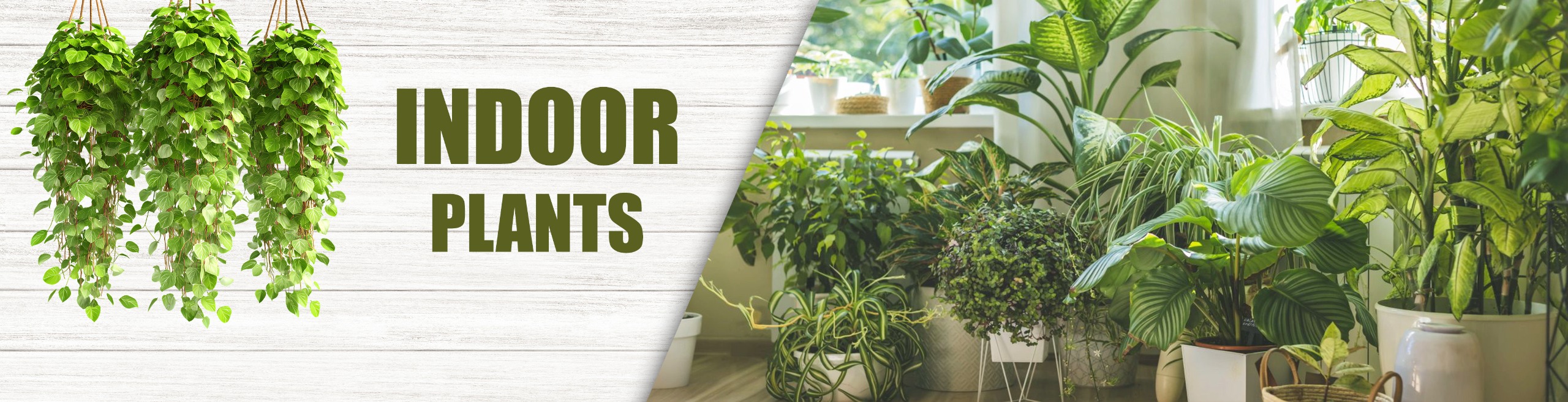 71f767ae-ce2d-41b6-8316-b3aa8459d738