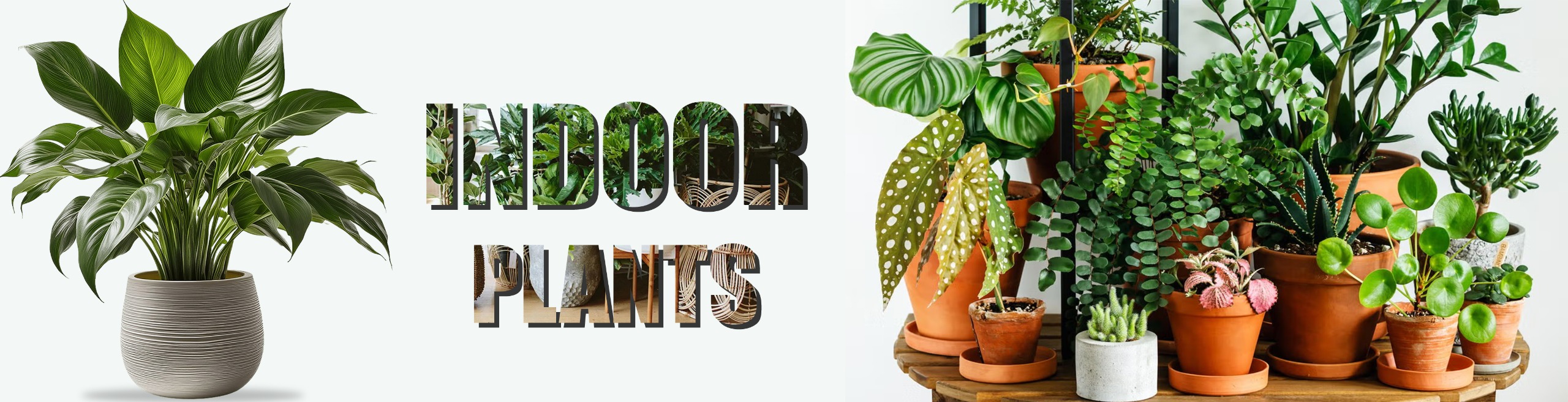 8b7ee236-1c13-44aa-970d-d6541fc5f01e