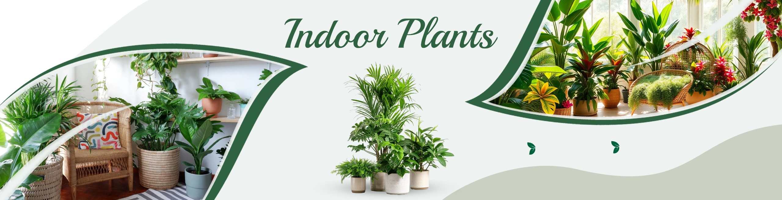 a0af581c-d052-43ae-a5f8-97e0bc756469